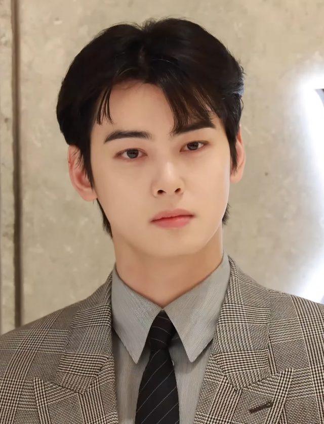 Cha Eun-woo de terno cinza xadrez e gravata escura olhando para a câmera