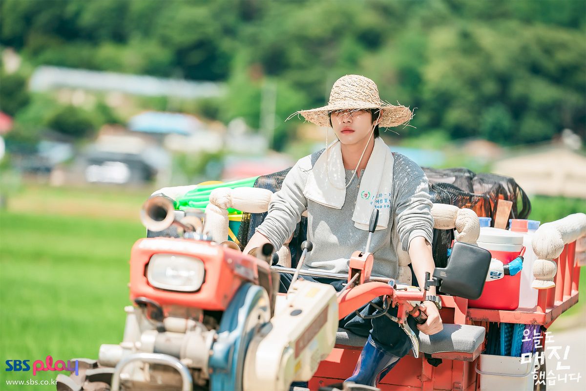 Ahn Hyo-seop como Matthew Lee, de chapéu de palha e toalha branca no pescoço, dirige um microtrator vermelho com carroceria ao lado de uma plantação de arroz